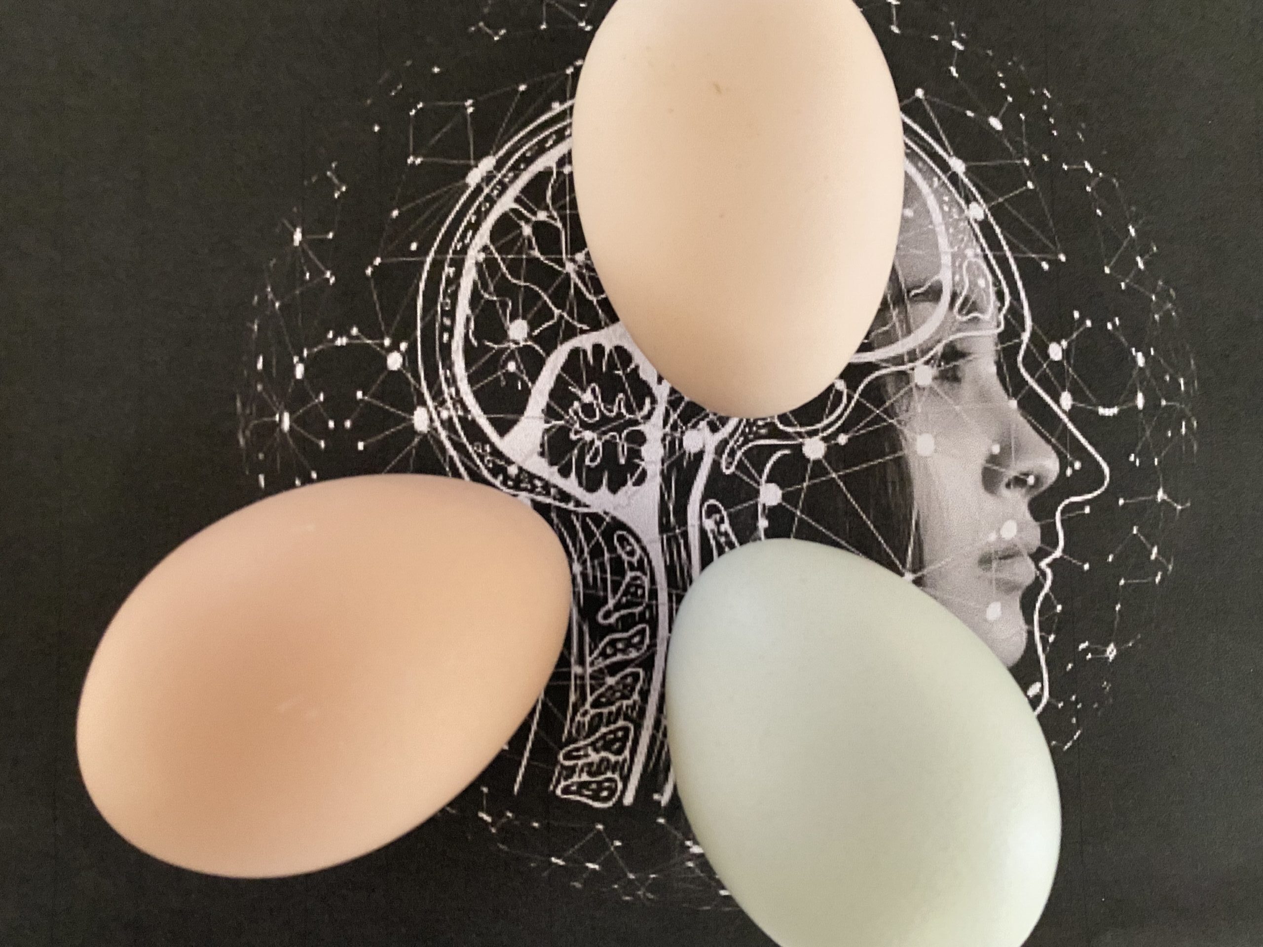 artificial-intelligence-g4c5797162_640