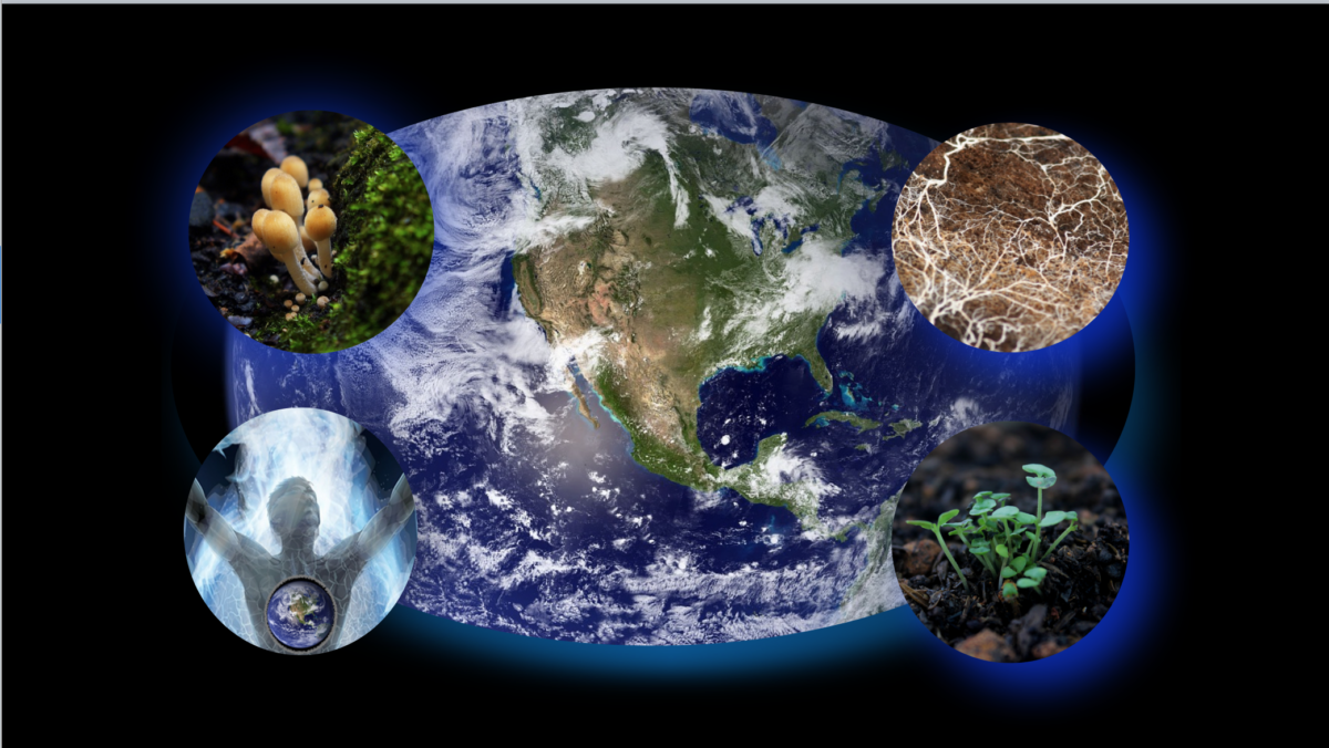 First things 00-first-2023-03-10 at 11.35.10 AM